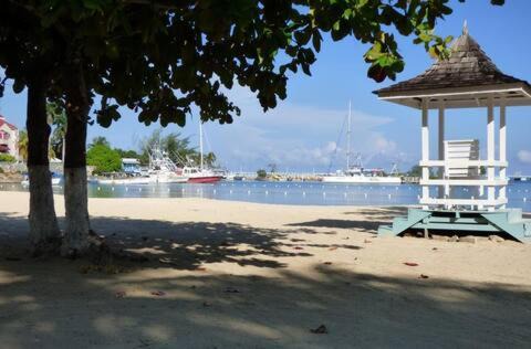 Ocho Rios Apartment | Apartment by the Beach Sleeps 4