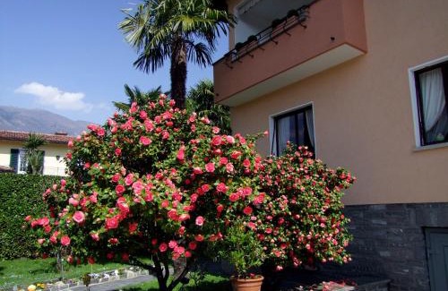 Ascona Apartment | Apartment Casa Thuja