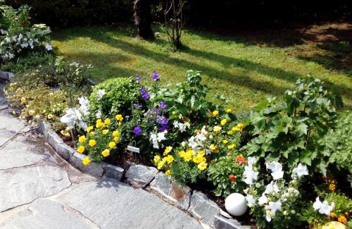 Ascona Apartment | Apartment Casa Thuja