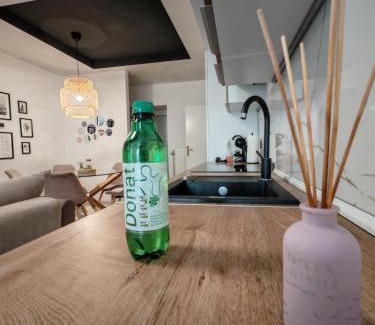 Rogaska Slatina Apartment | Apartment Center Rogaška - Pubyland