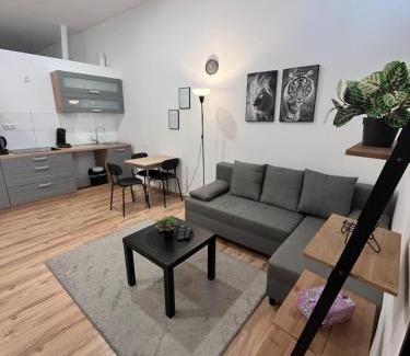 Dortmund Apartment | Apartment Central 10C 40qm Wi-Fi free Parking calm back house