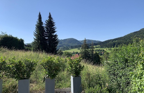 Gemarkung Laufen an der Eyach Apartment | Apartment 'Chalet' with Mountain View and Private Terrace