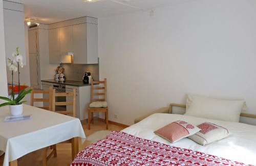 Sankt Moritz-Bad Apartment | Apartment Chesa Sur Ova 21 by Interhome