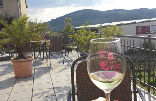 Brauneberg Apartment | Apartment-Classic-Private Bathroom-River view-Moselblick 3