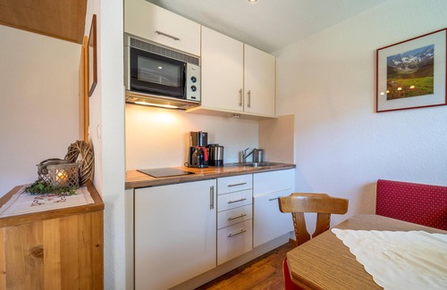 Hoarberg Apartment | Apartment close to ski resort Mayrhofen
