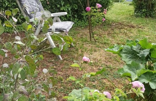 Osijek Apartment | Apartment Cocic Garden