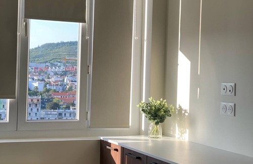 Clermont Ferrand City Centre Apartment | Apartment Cosy Clermont Centre, Pet friendly !