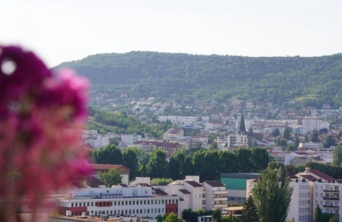 Clermont Ferrand City Centre Apartment | Apartment Cosy Clermont Centre, Pet friendly !