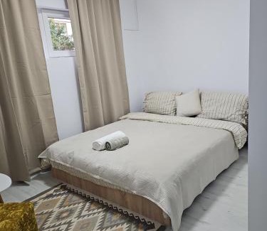 Arad Apartment | Apartment cu viziune, parcare publica fără plata, Self Non Stop check in