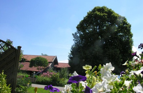 Ettensberg Apartment | Apartment 'Eiche' with Mountain View, Shared Terrace and Wi-Fi