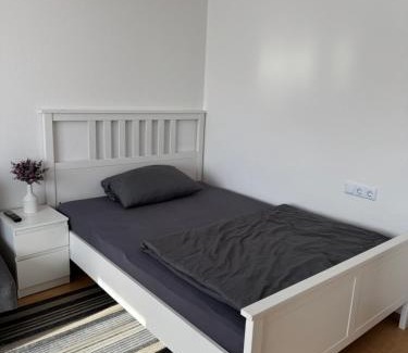 Leinfelden-Echterdingen House | Apartment 6 am Stuttgarter Flughafen-Messe