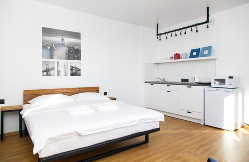 Novosibirsk City Centre Apartment | Apartment Domant NIITO