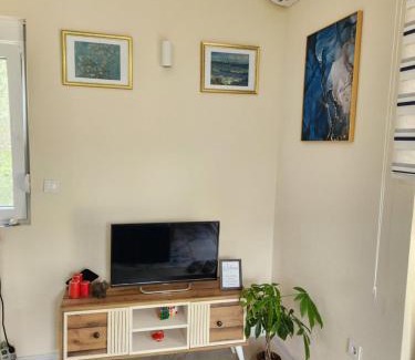 Bar Apartment | Apartment Dukić