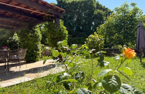 Bale Apartment | Apartment Dulcis Domus