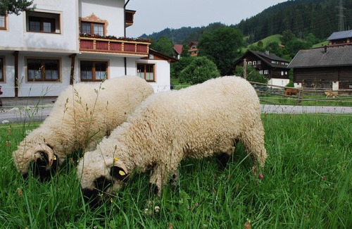 Schladming Apartment | Apartment Edelweiß /3 bedrooms - Appartementhaus Hinkerhof