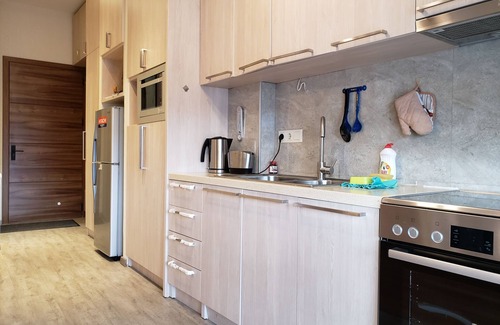 Bakurianis Andeziti Apartment | Apartment EleGia Area Park Bakuriani