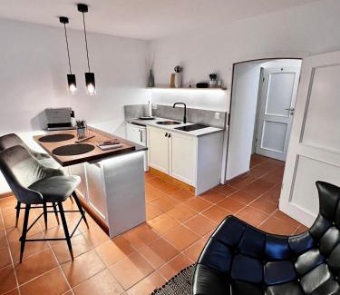 Bad Elster Apartment | Apartment Elysium am Rosengarten