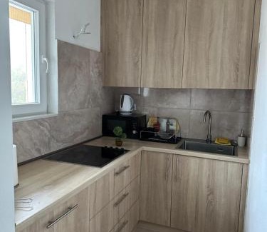Resnik Apartment | Apartment Eneya