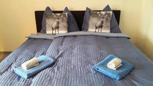 Kaprun Apartment | Apartment Enzian