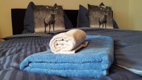 Kaprun Apartment | Apartment Enzian