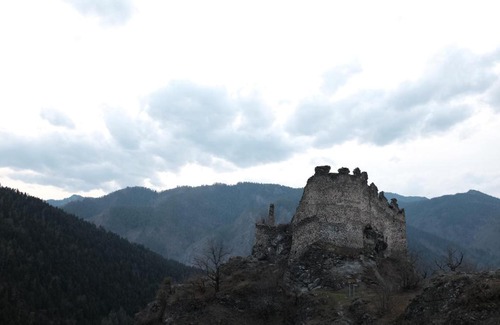 Borjomi House | Apartment Erekle