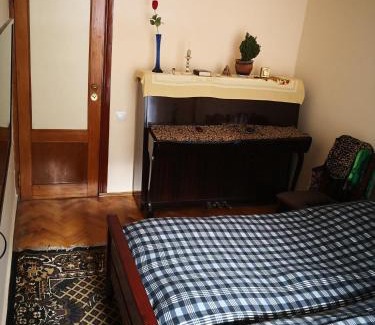 Borjomi House | Apartment Erekle