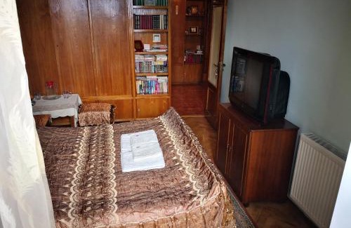 Borjomi House | Apartment Erekle