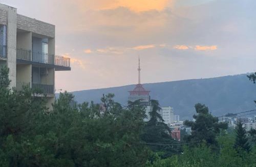 Tbilisi Apartment | apartment erekle