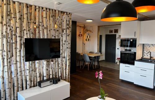 Schonach im Schwarzwald Apartment | Apartment Fabelwald Black Forest