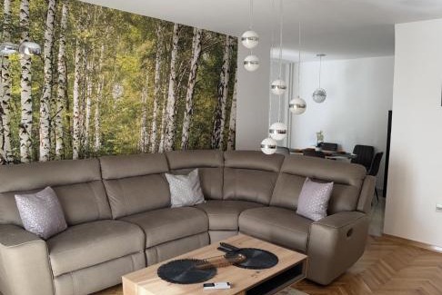 Split Apartment | Apartment Family