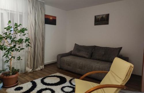 Cluj-Napoca Apartment | Apartment Farmec