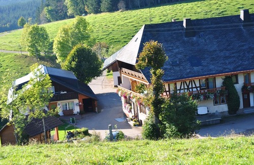 Furtwangen Apartment | Apartment 'Feldbergblick' with Mountain View, Shared Garden and Wi-Fi