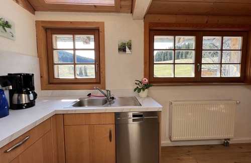 Titisee-Neustadt Apartment | Apartment 'Ferienwohnung Sternschnuppe, 90 Qm' with Mountain View, Shared Garden and Balcony