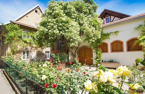 Bickensohl Apartment | Apartment 'Ferienwohnung Tenne' with Shared Garden and Wi-Fi