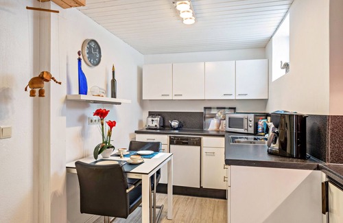 Freiburg im Breisgau Apartment | Apartment 'Ferienwohnung Bei Franka Mit Sauna' with Shared Terrace and Wi-Fi