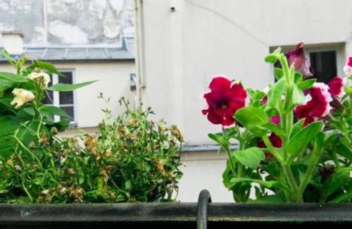 Quartier de la Monnaie Apartment | Apartment/flat - Paris