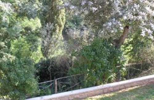 Reggello Apartment | Apartment/flat - Reggello