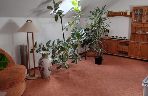 Werder Apartment | Apartment flower city Werder-Havel