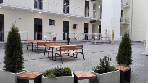 Brno-stred Apartment | Apartment for Big Groups or Families