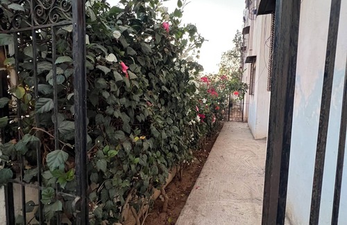 Cite Adrar Apartment | Apartment for rent with 1 bedroom and 2 living rooms in a quiet neighborhood.