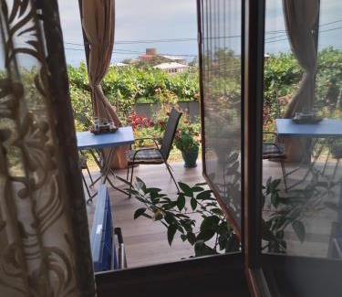 Sighnaghi Apartment | Apartment Giorgi in Sighnaghi