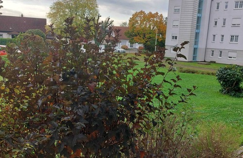 Waldshut-Tiengen Apartment | Apartment 'Grenze' with Shared Terrace and Wi-Fi