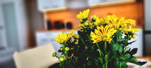 Region Hannover District Apartment | Apartment Hannover - Langenhagen center