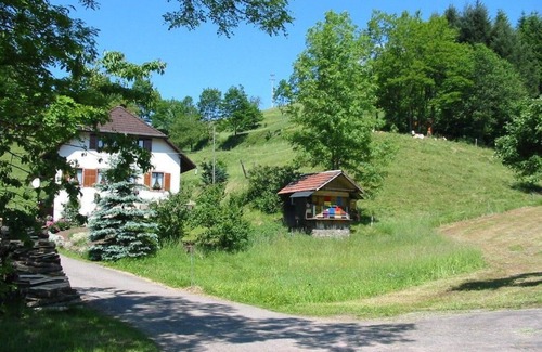 Kleines Wiesental Apartment | Apartment "Haus am Eckle"