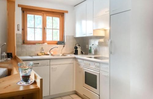 Schmitten Apartment | Apartment Haus Lotti Apt 203 by Interhome