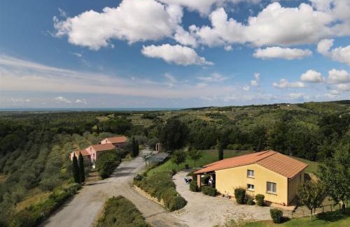 Riparbella Apartment | Apartment Il Felciaione-18 by Interhome