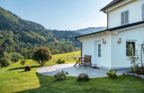 Schweighof Apartment | Apartment im Sägegässle