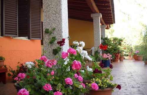 Siniscola Apartment | Apartment in a farm