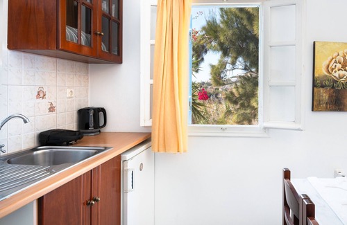 Agios Prokopios Apartment | Apartment In A Hotel 'Sun Rock Boutique - Villa Begonia' with Private Terrace and Air Conditioning