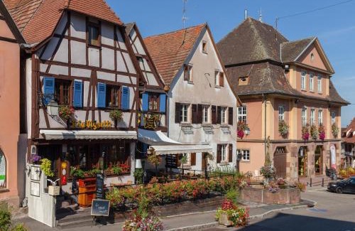 Dambach-la-Ville Apartment | Apartment in Alsace near Europa-Park, cleaning included